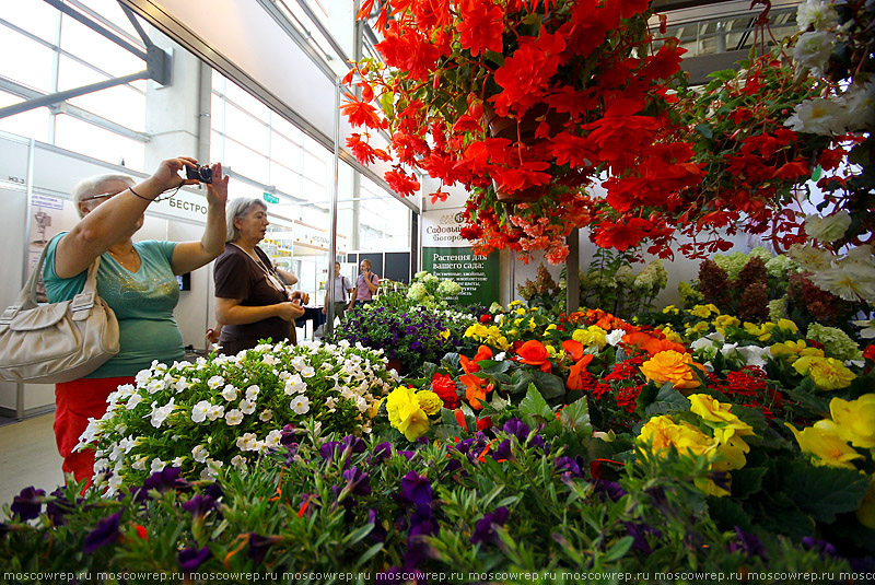 Московский репортаж, Москва, ВДНХ, Цветы/Flowers-2015, Выставка цветов на ВДНХ