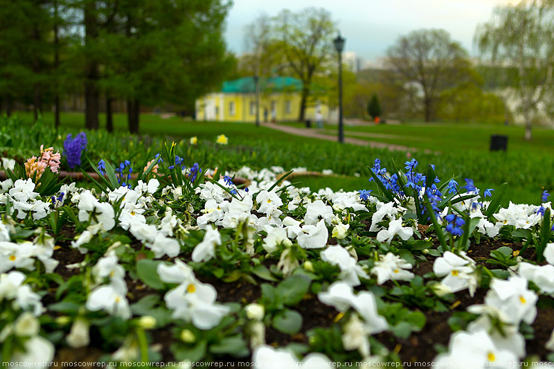 Москва, Московский репортаж, Коломенское