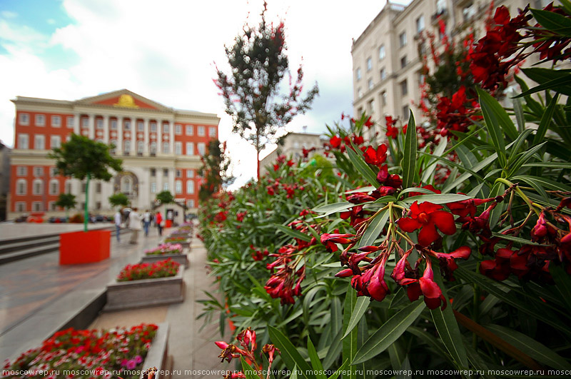 Москва, Московский репортаж, Фестиваль варенья