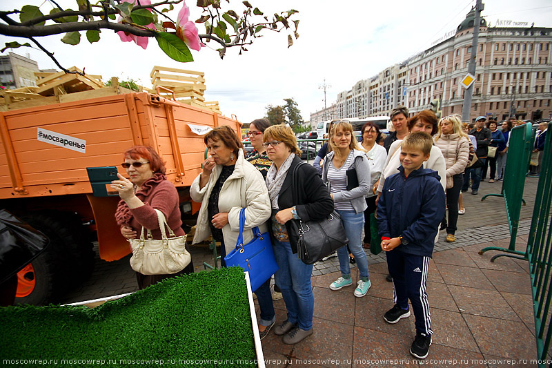Москва, Московский репортаж, Фестиваль варенья, Преображение Господне, Яблочный Спас