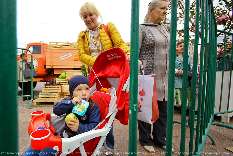 Москва, Московский репортаж, Фестиваль варенья, Преображение Господне, Яблочный Спас