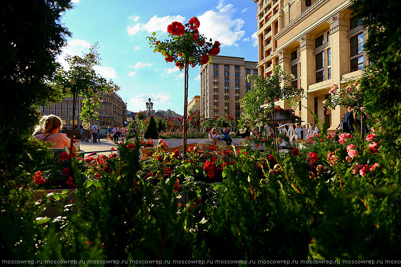 Москва, Московский репортаж, «Московское варенье. Дары природы»