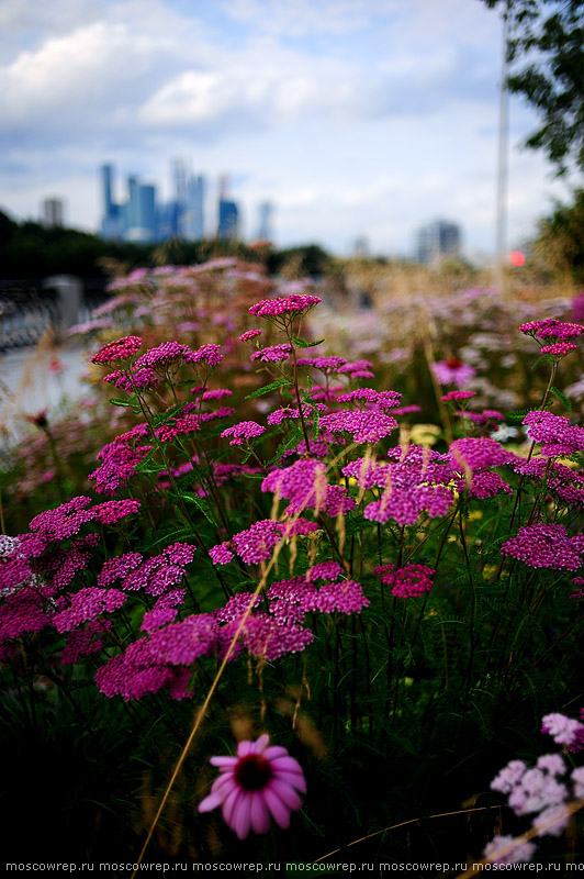 Московский репортаж, Москва, Лужники, Москва пешеходная