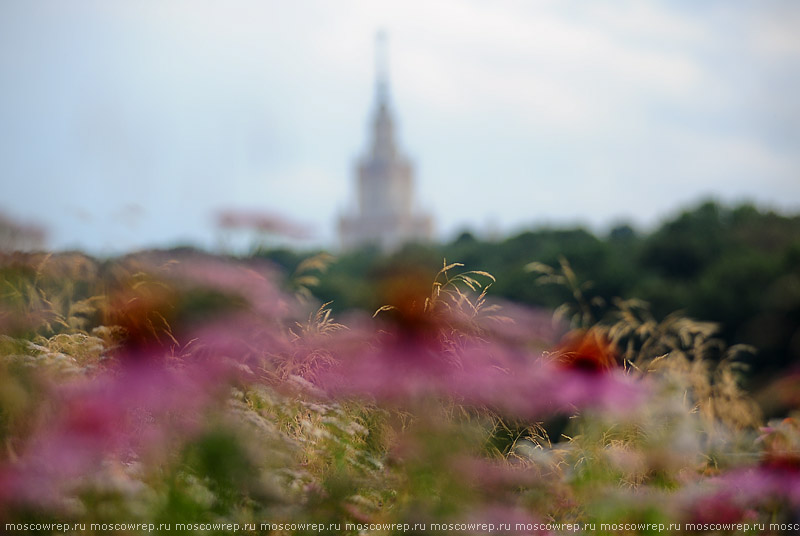 Московский репортаж, Москва, Лужники, Москва пешеходная