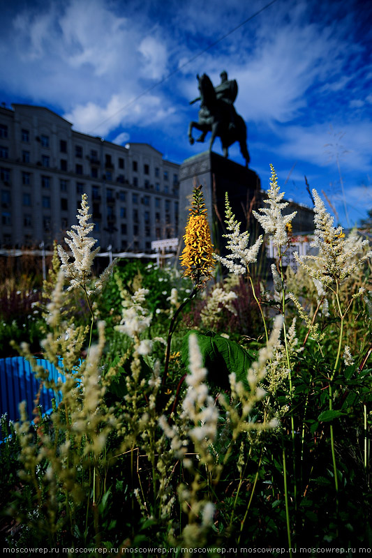 Московский репортаж, Москва, Московское лето, Цветочный джем, Московские сезоны