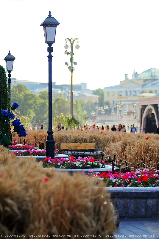 Московский репортаж, Москва, Московское лето, Цветочный джем, Московские сезоны