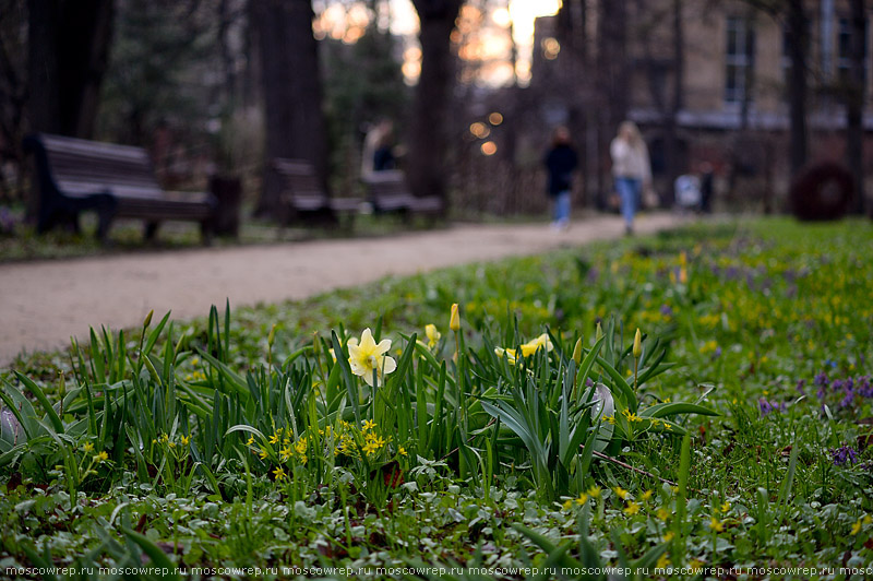 Московский репортаж, Москва, Pharmacy garden, Flower Festival, Аптекарский огород, Фестиваль цветов, 