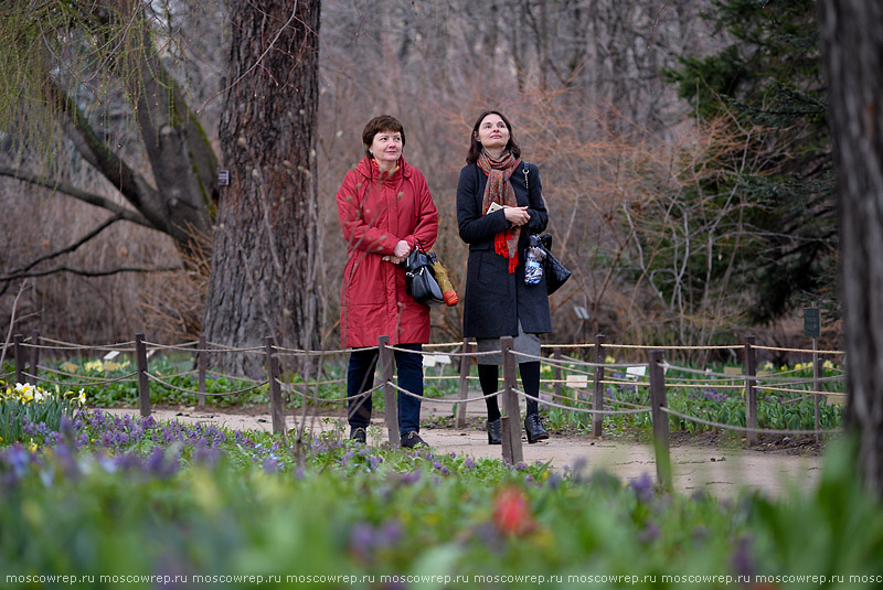 Московский репортаж, Москва, Pharmacy garden, Flower Festival, Аптекарский огород, Фестиваль цветов, 