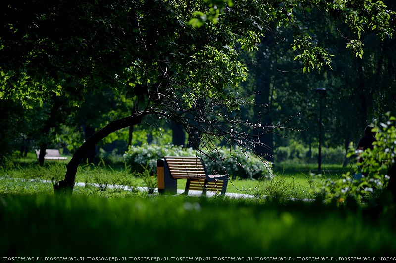 Московский репортаж, Москва, Сад будущего, парк, Moscow, Park, Garden of the future