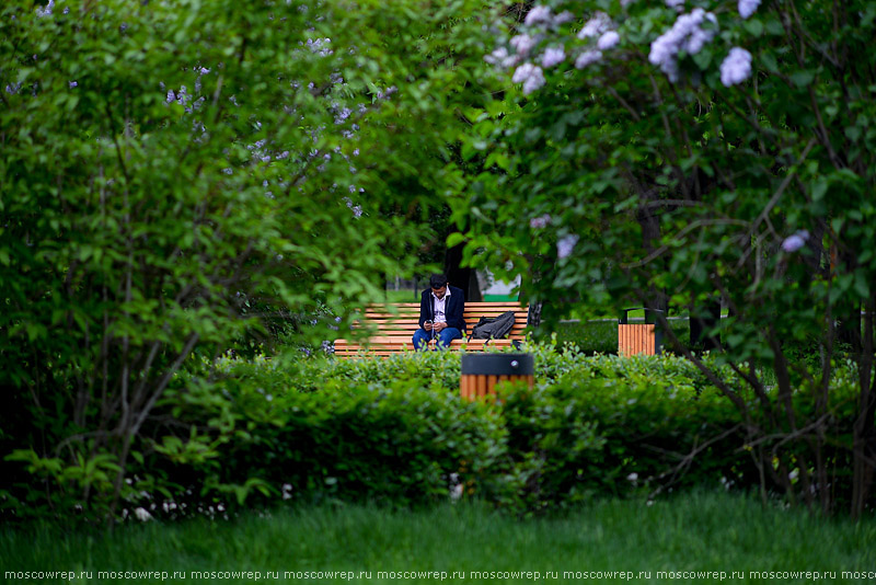 Московский репортаж, Москва, Сад будущего, парк, Moscow, Park, Garden of the future