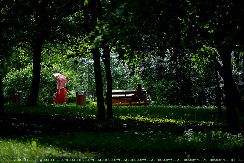 Московский репортаж, Москва, Сад будущего, парк, Moscow, Park, Garden of the future